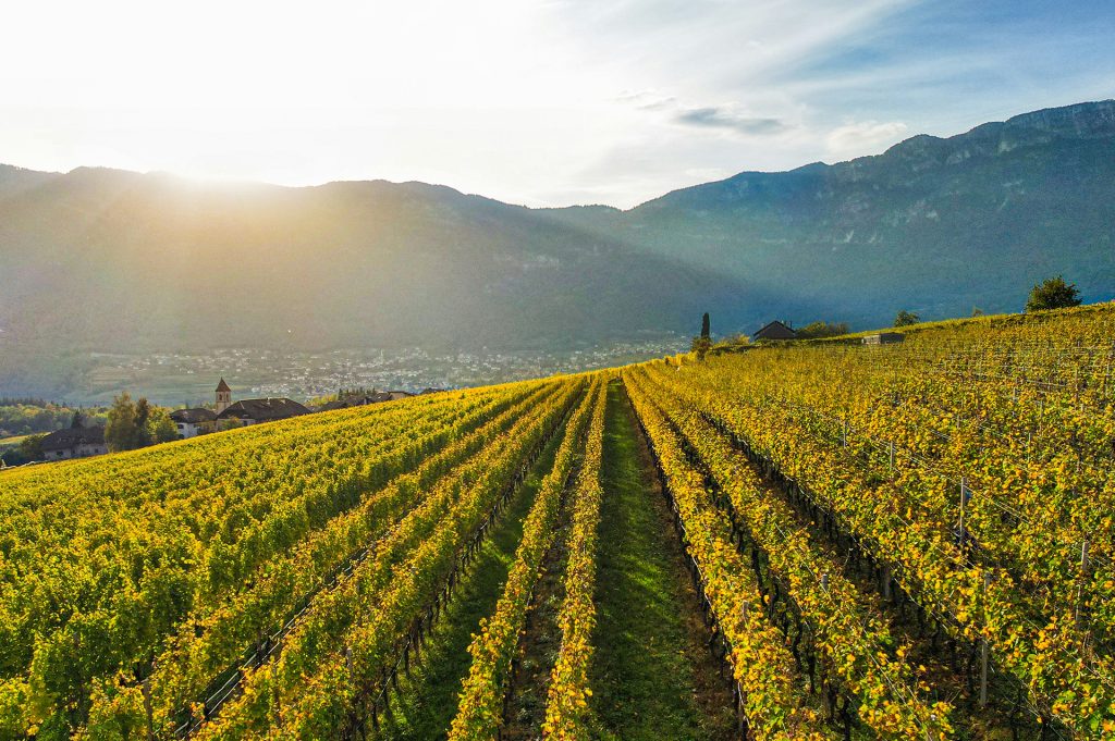 Vinogradi sa najvećom nadmorskom visinom na svetu