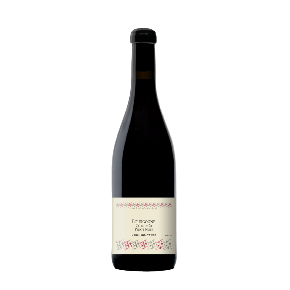 Bourgogne Cote d'Or Pinot Noir 2022