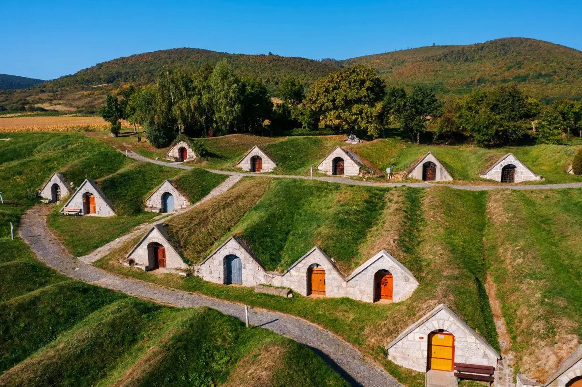 Esencija – tokajsko tečno zlato
